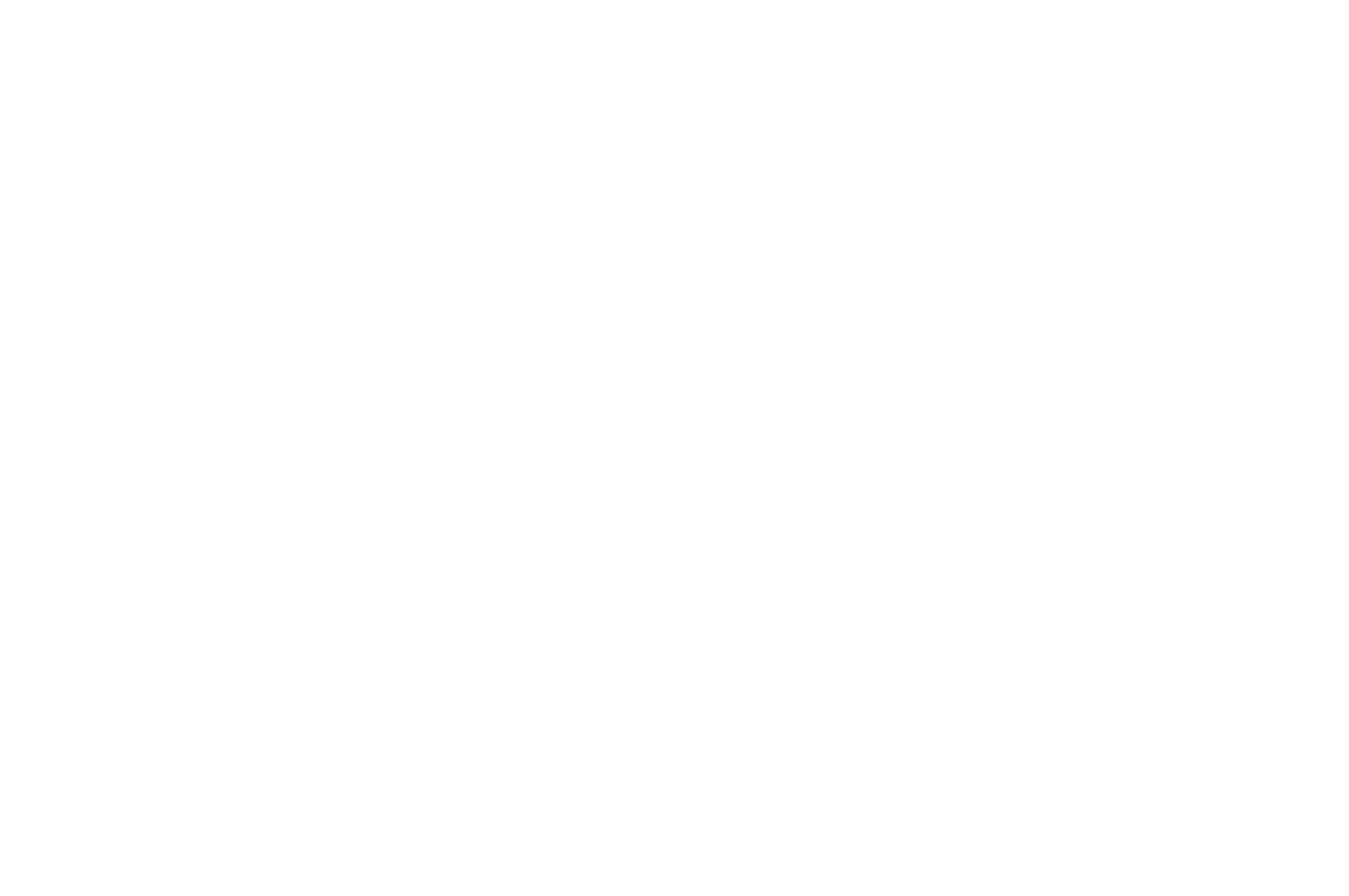 IBM Technology Partner